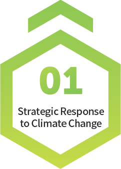 Strategic Response to Climate Change